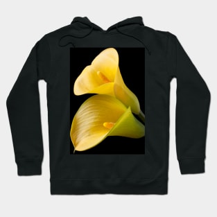 Pair of Yellow Calla Lilies Hoodie